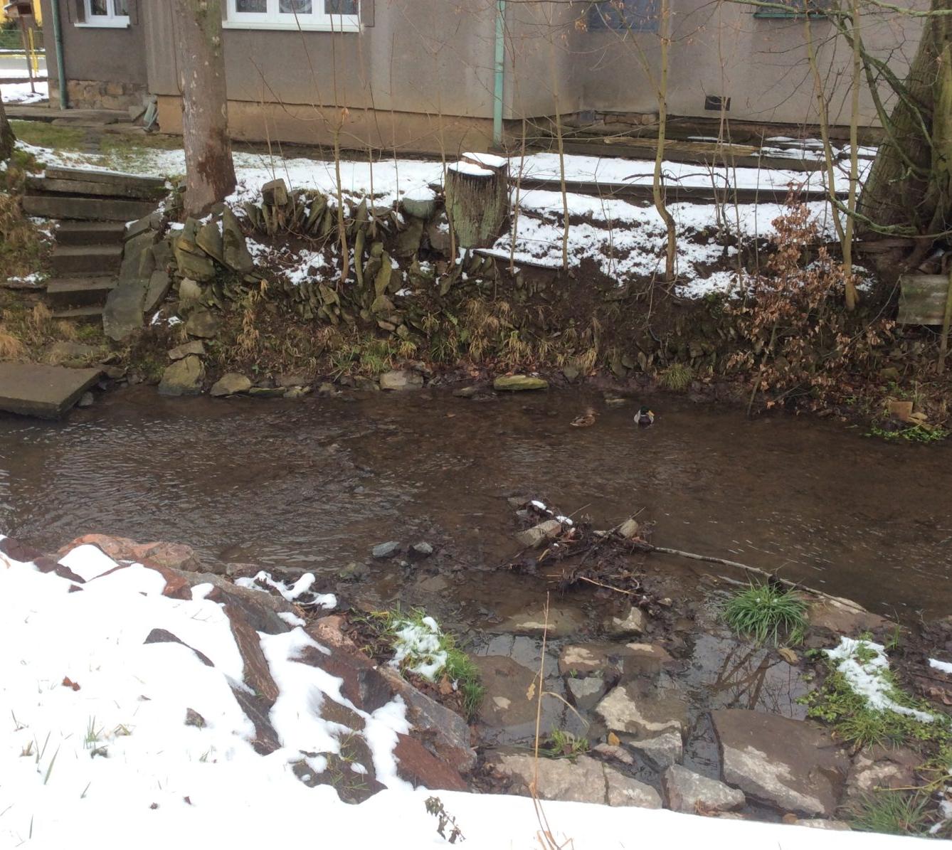 Leden I. oddělení - 23