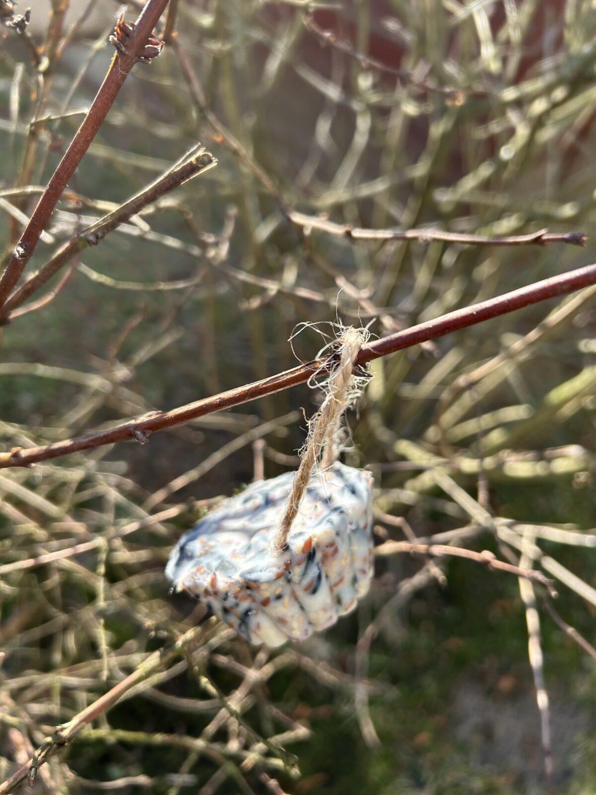 SOVIČKY: ,,CO DĚLAJÍ ZVÍŘATA V ZIMĚ" - 50