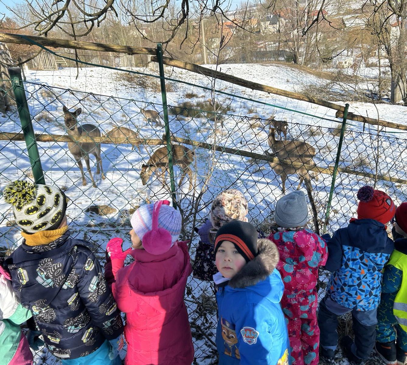 SOVIČKY: ZIMA NÁM NEVADÍ - 17