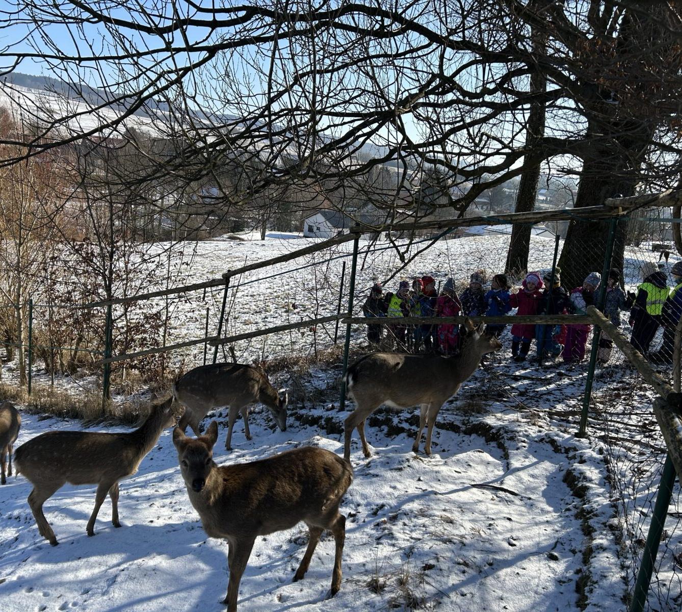 SOVIČKY: ZIMA NÁM NEVADÍ - 18