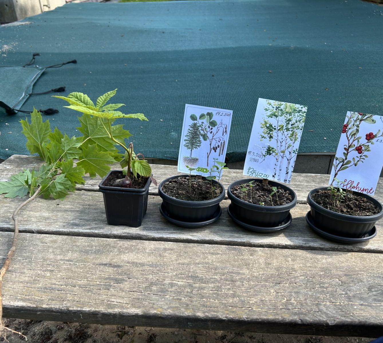 MOMENTKY ZE ŠKOLKY - 45