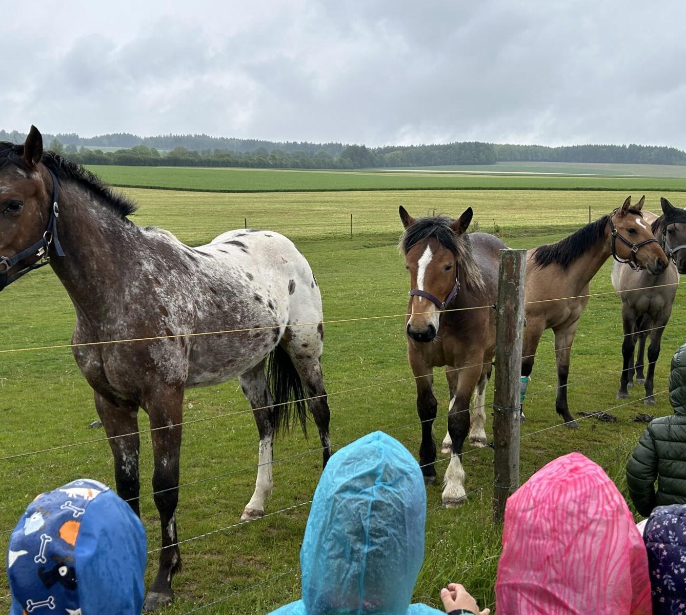 MOMENTKY ZE ŠKOLKY - 49