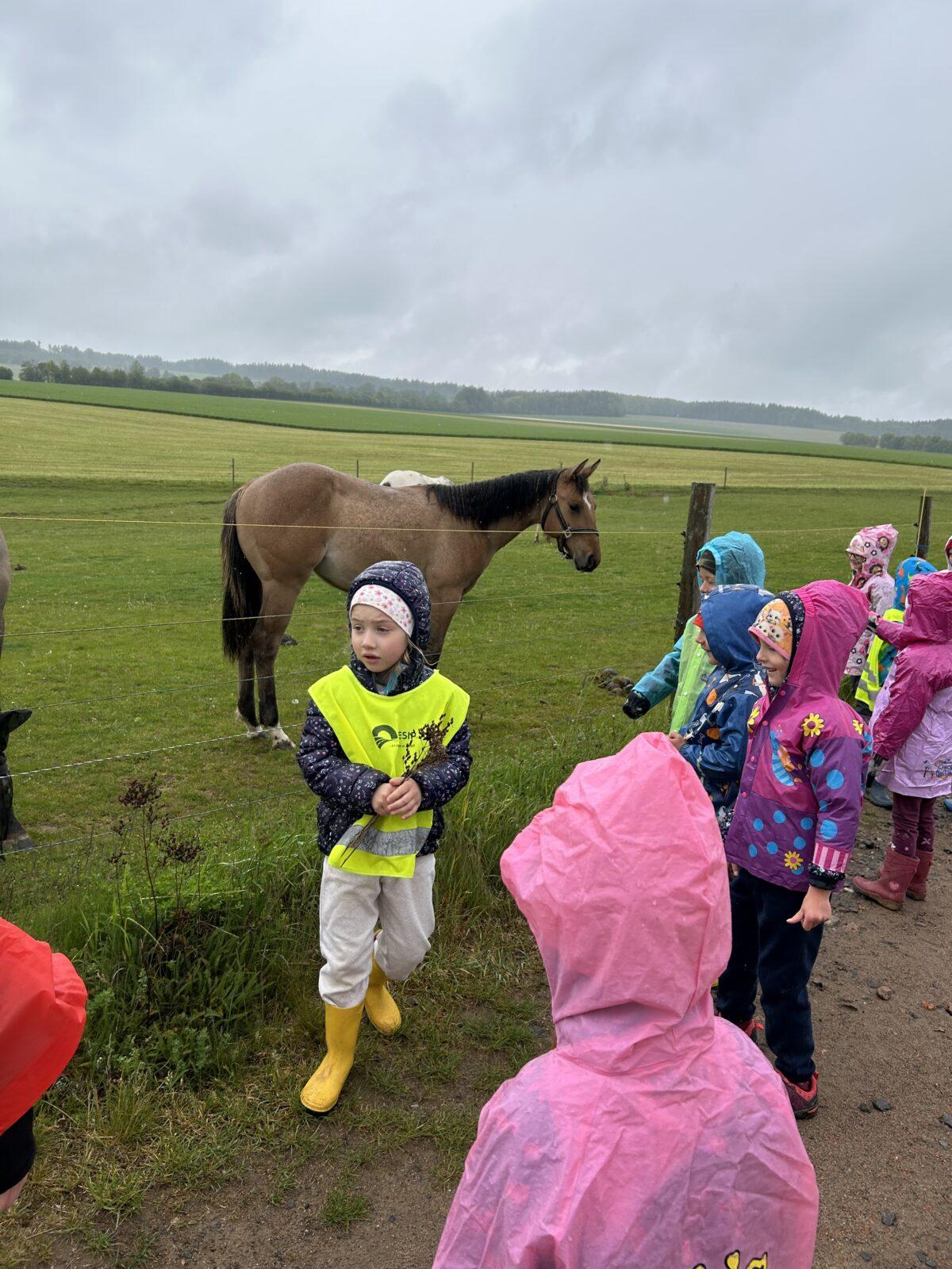 MOMENTKY ZE ŠKOLKY - 50