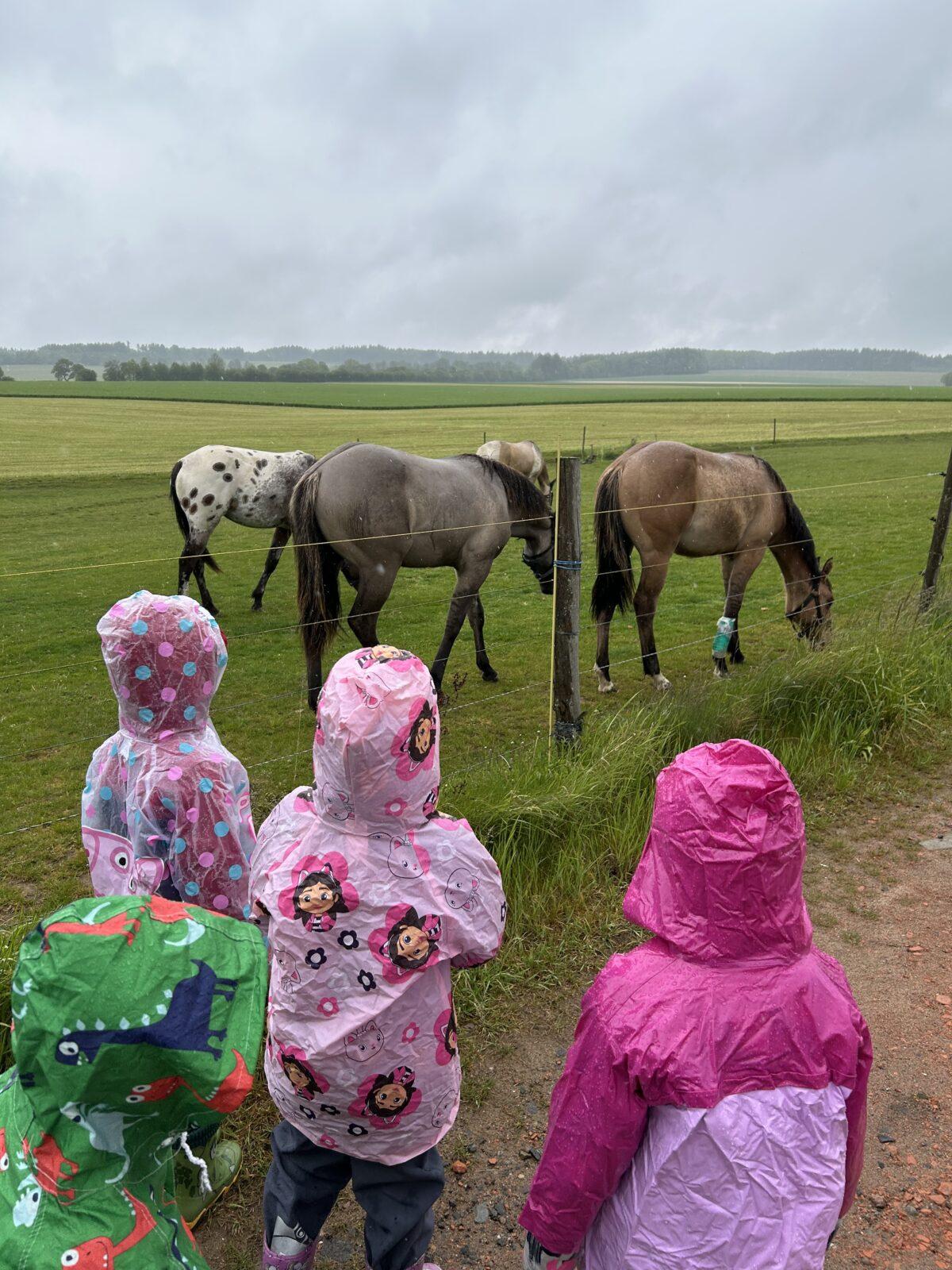 MOMENTKY ZE ŠKOLKY - 52