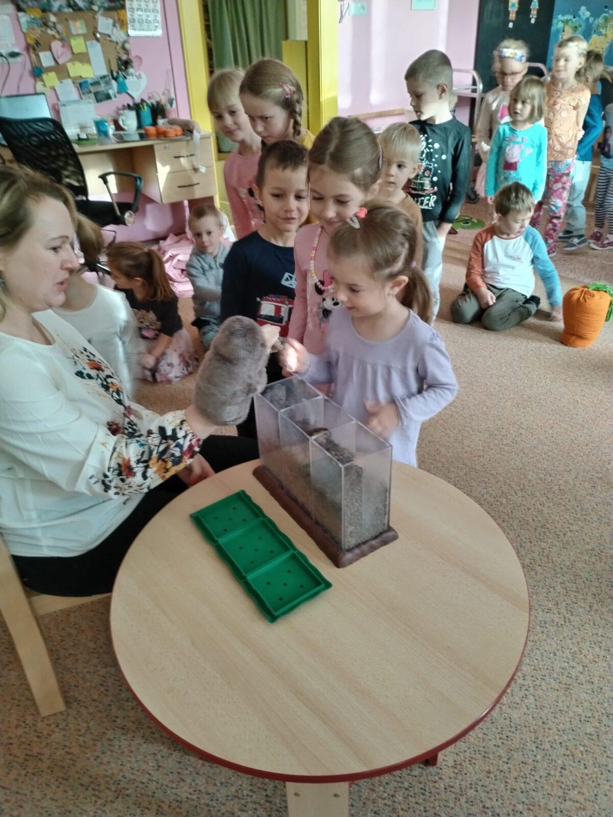 Vzdělávací program "Krteček" :-) - 13