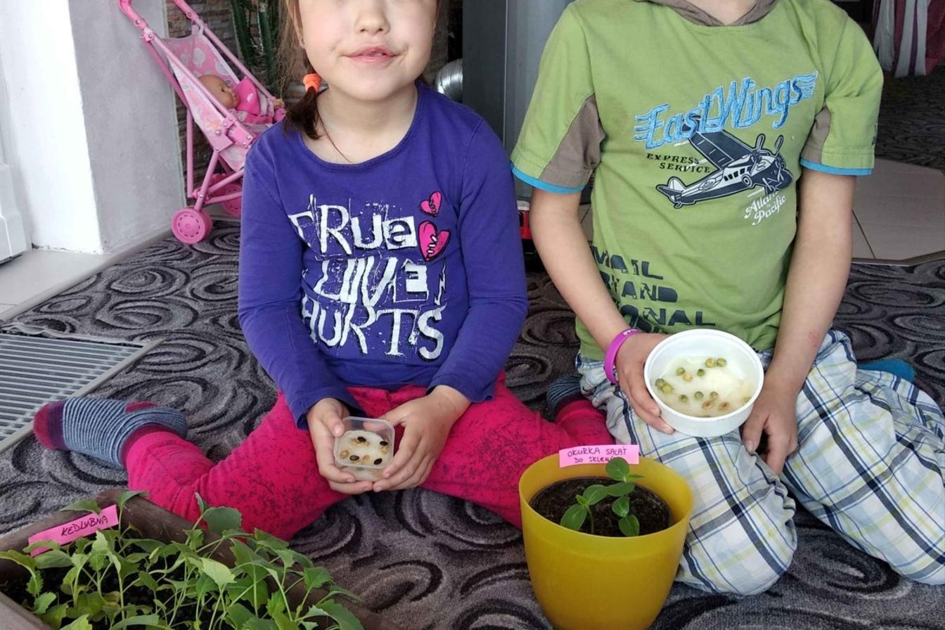 Výstupy druháčků z domácího učení 1. 4.