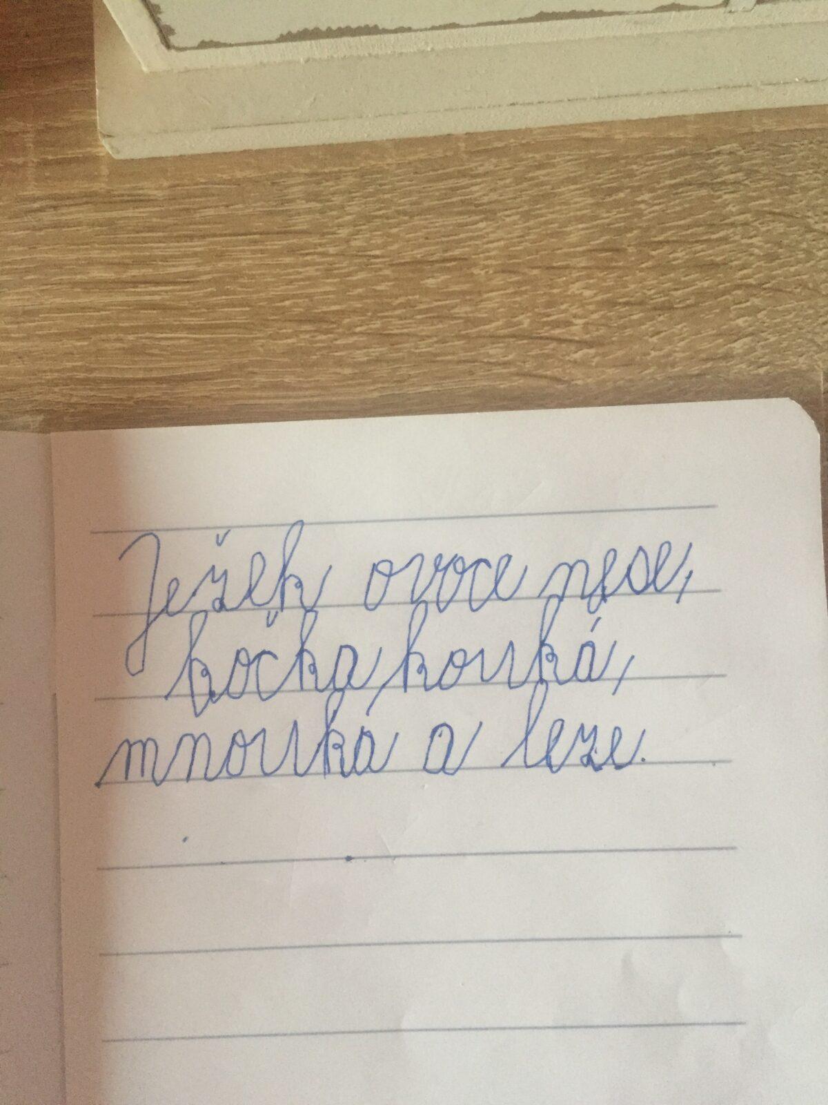 Domškoláctví u prvňáků - 19