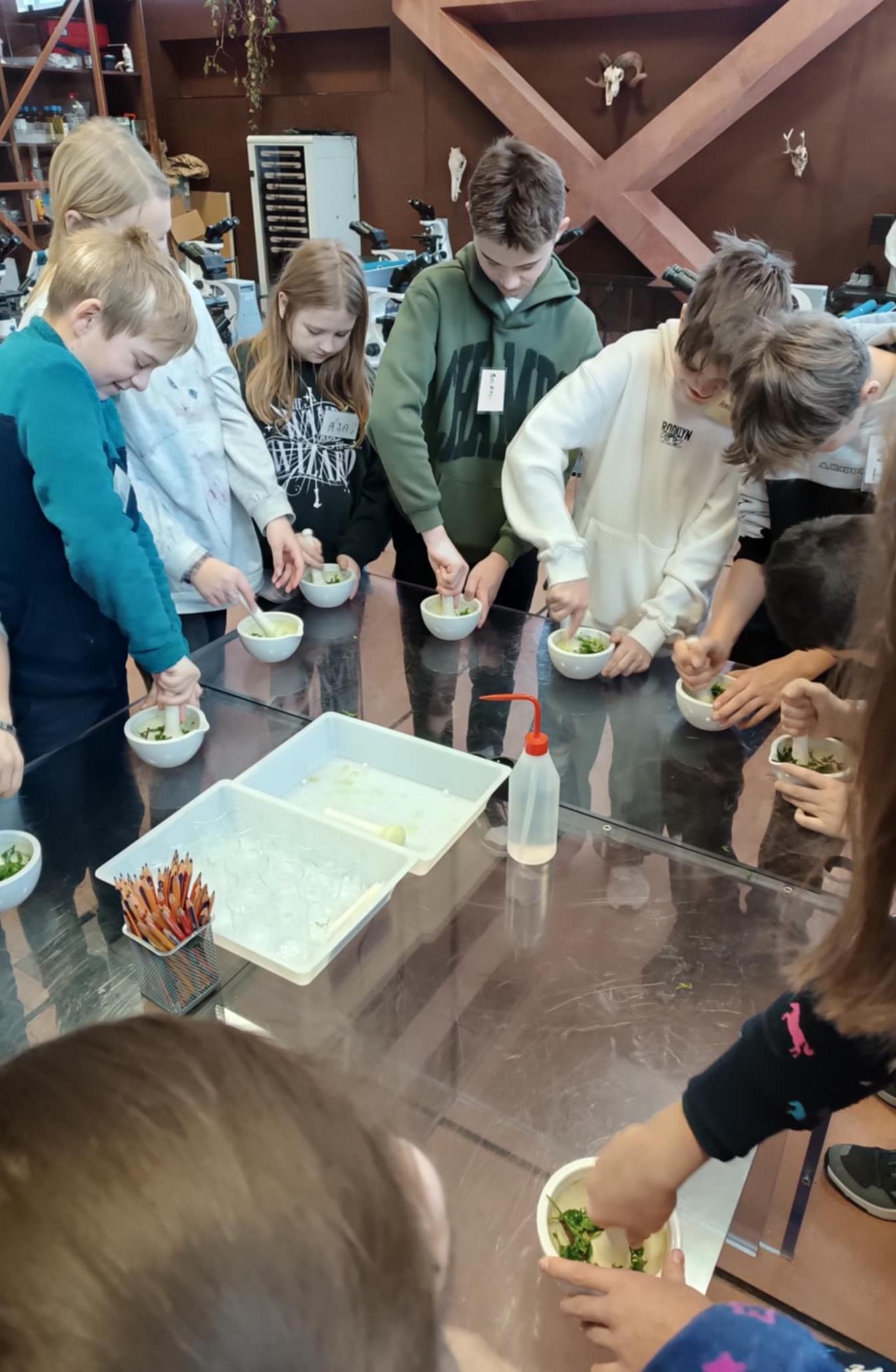 Vzdělávací centrum SFÉRA PARDUBICE - 11