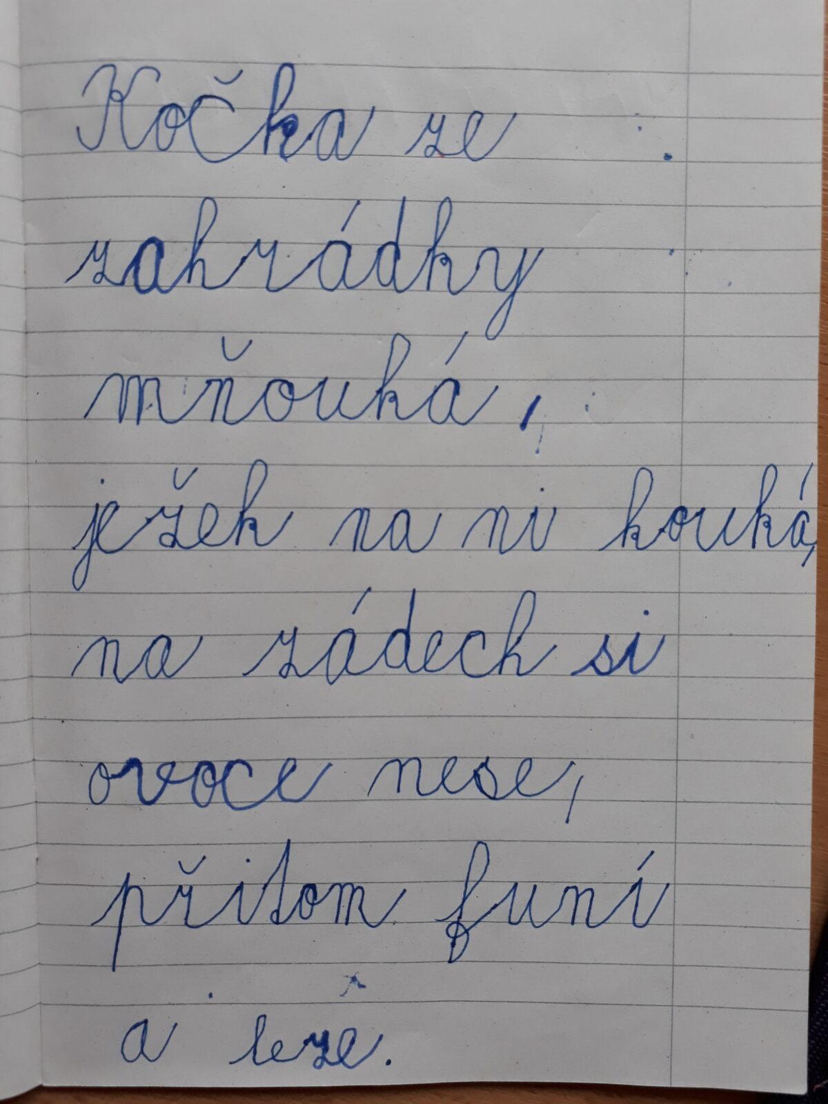 Domškoláctví u prvňáků - 27