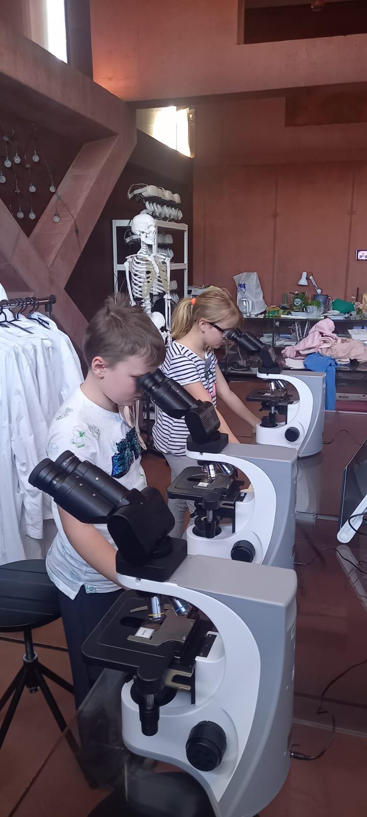 Sféra Pardubice - 2. a 4. třída - 14