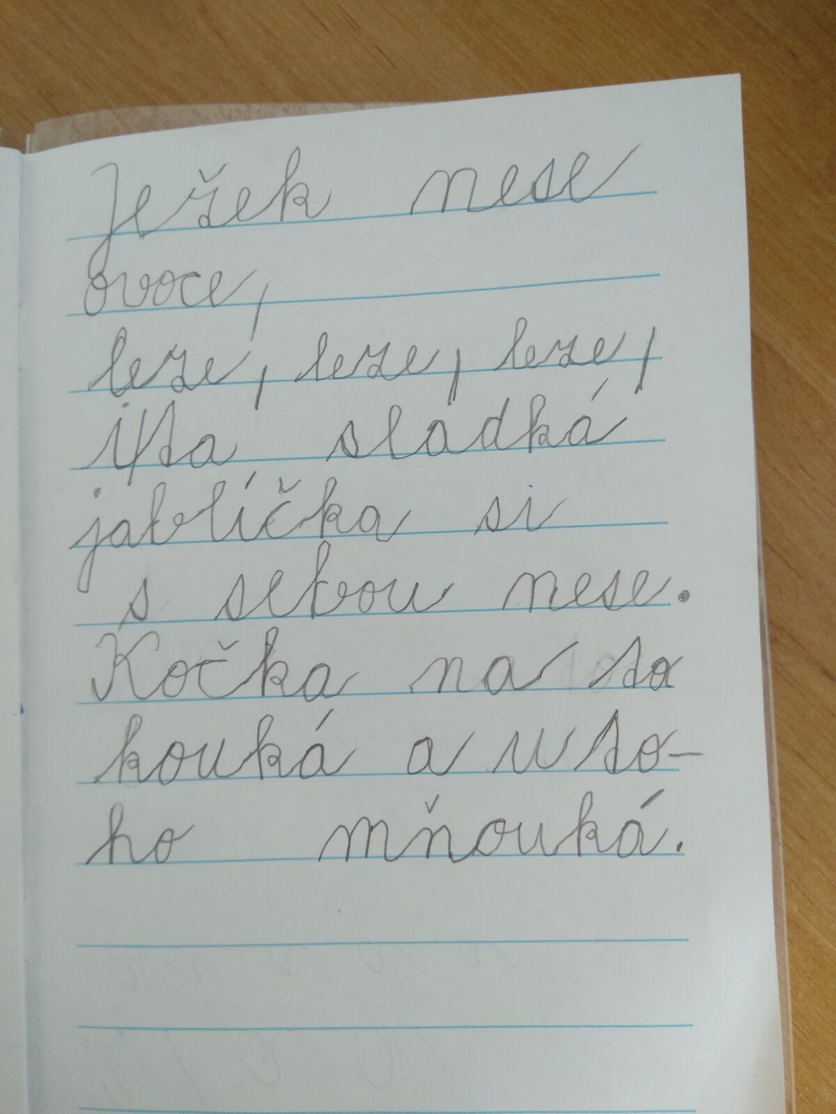 Domškoláctví u prvňáků - 31