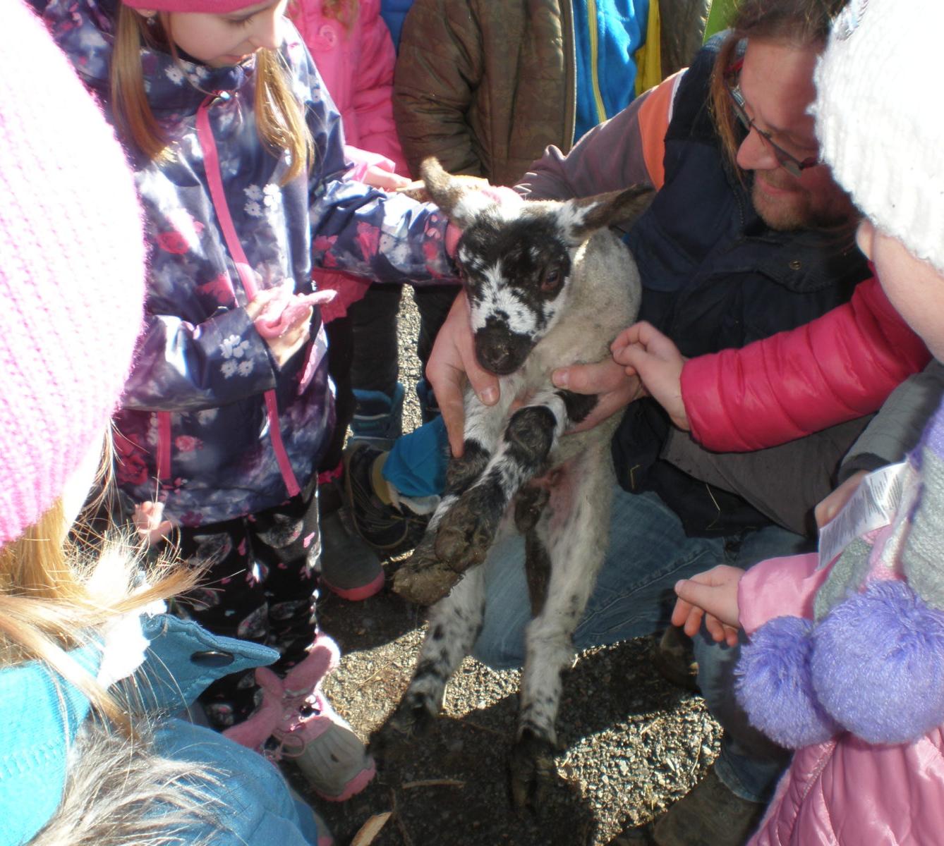 Výprava druháčků za jehňaty - 8