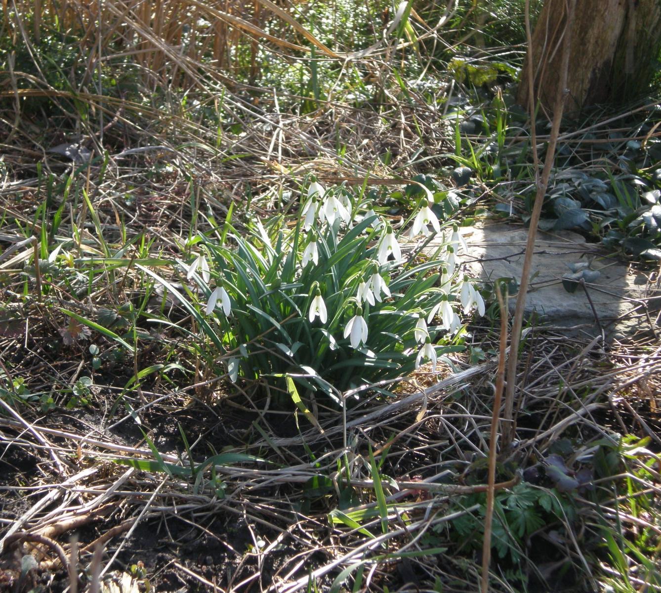 Výprava druháčků za jehňaty - 15