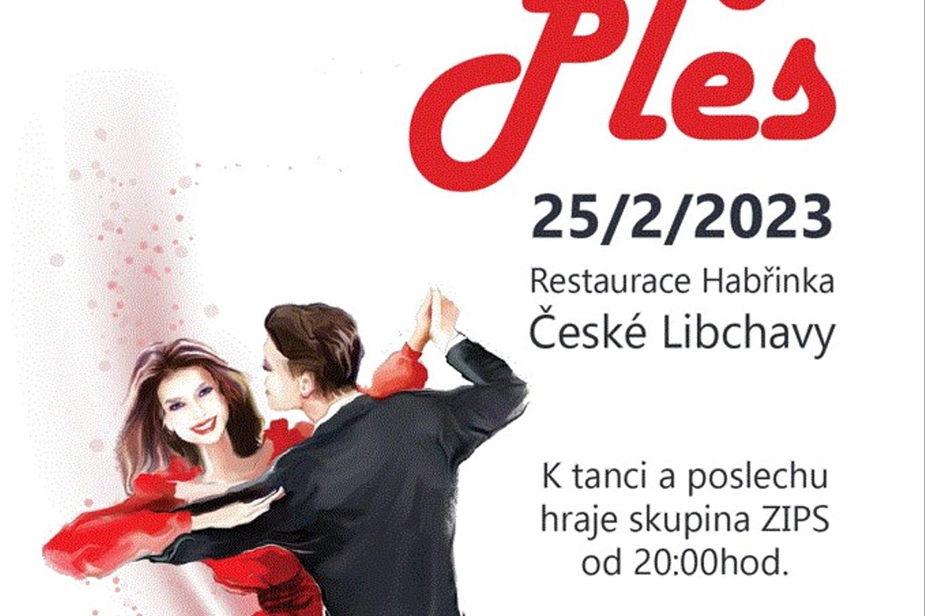 Pozvánka na ples SRPŠ