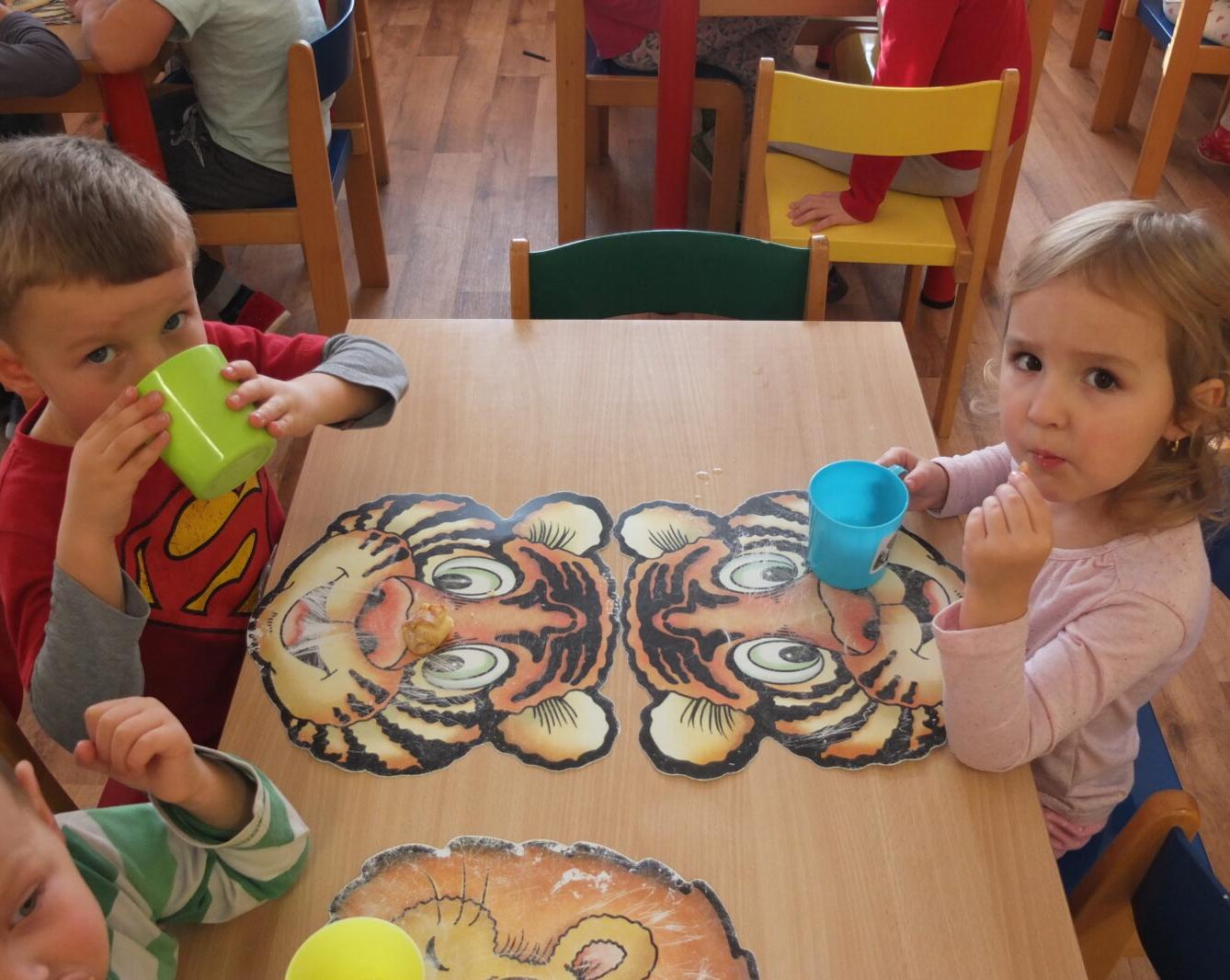 Lesní kamínek - 22