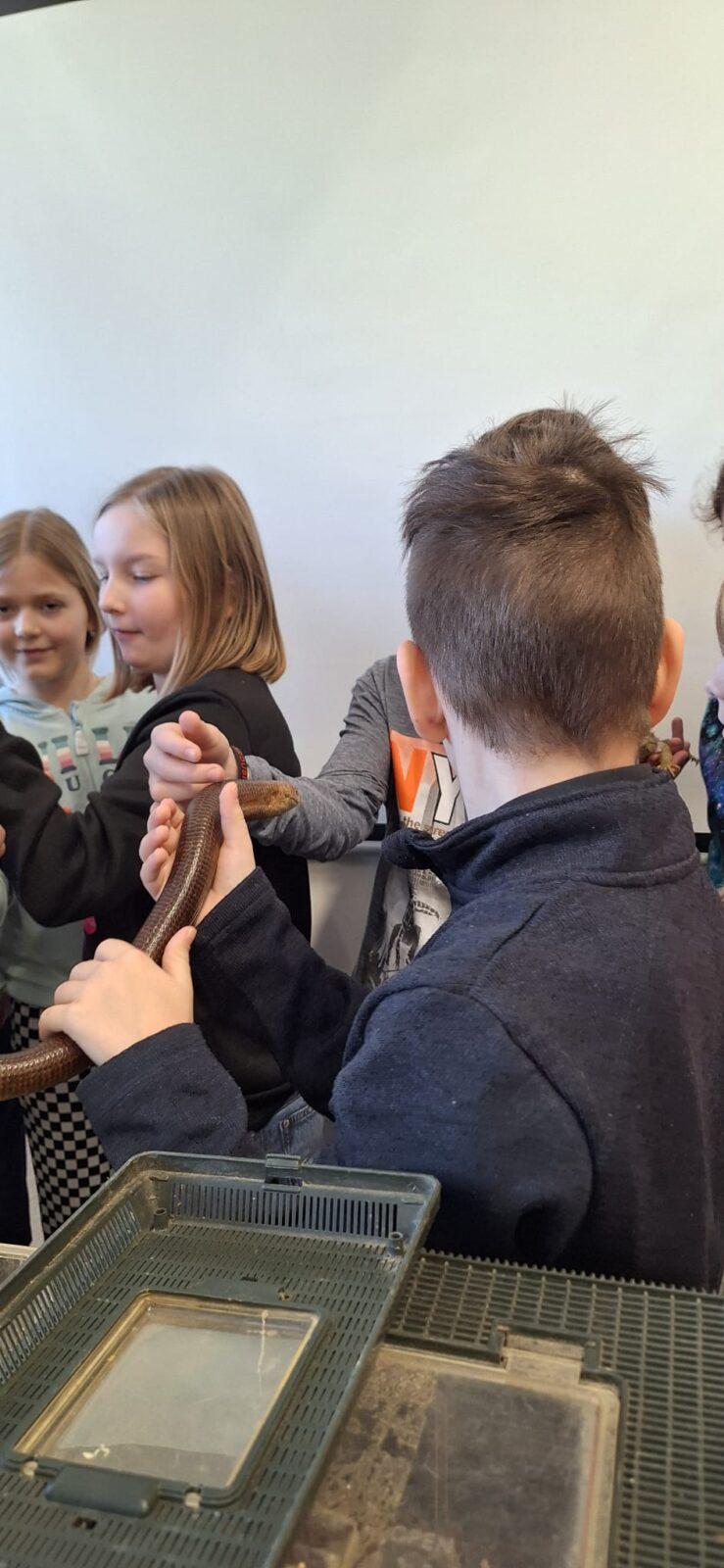 Exotická zvířata - přednáška - 23