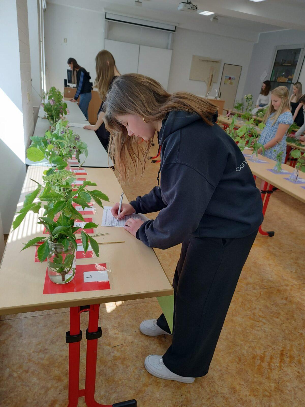 Poznávání přírodnin a minerálů II.st. - 1