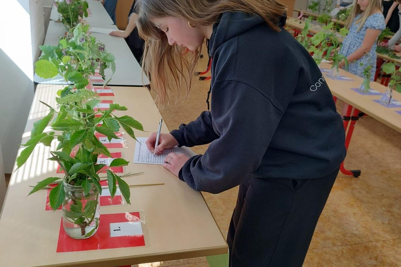 Poznávání přírodnin a minerálů II.st.