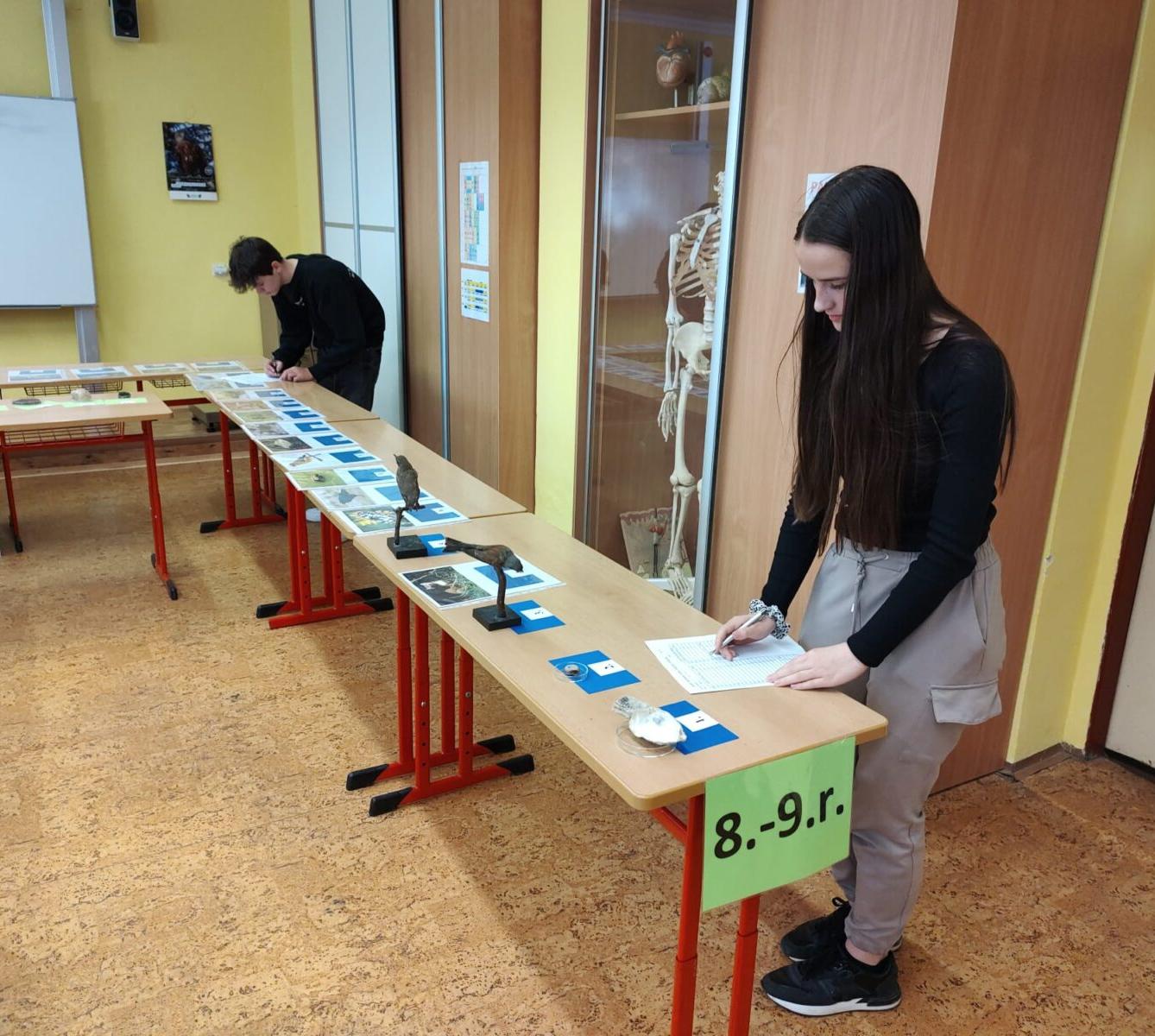 Poznávání přírodnin a minerálů II.st. - 2