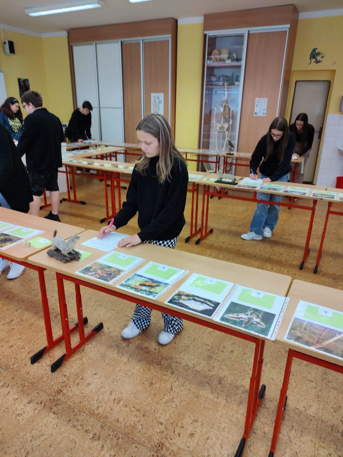 Poznávání přírodnin a minerálů II.st. - 3