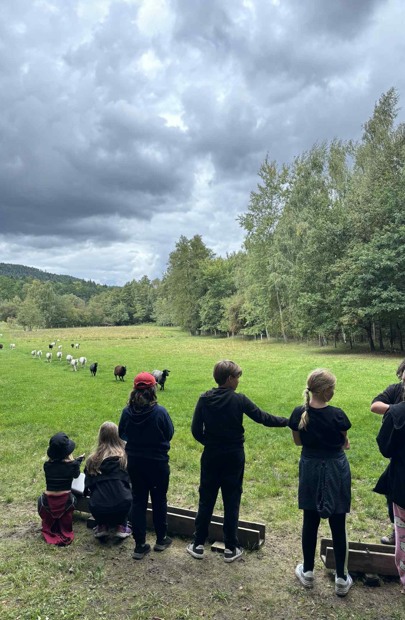 Adaptační kurz- den druhý - 14