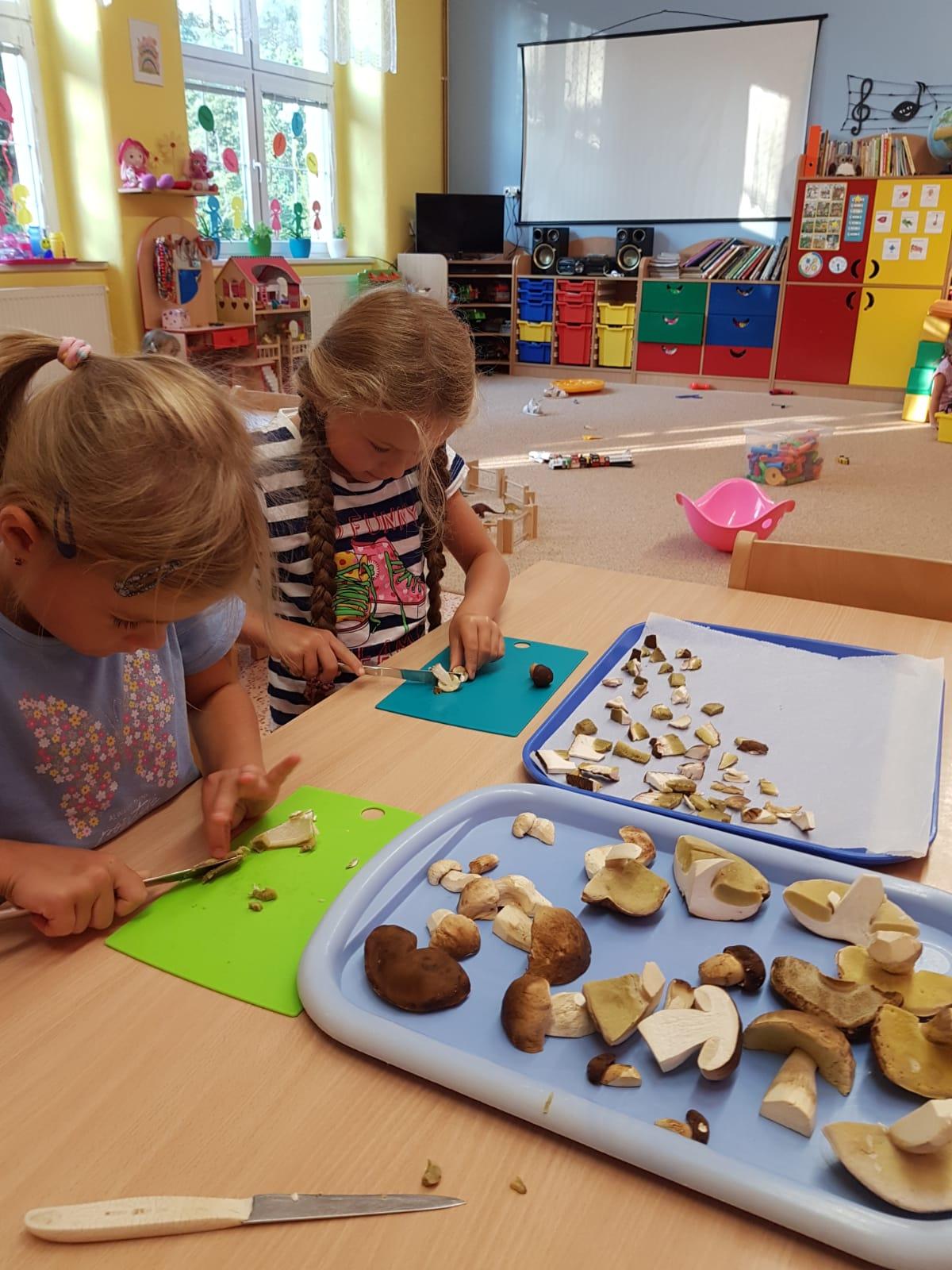 SOVIČKY: ,,LES" - 20