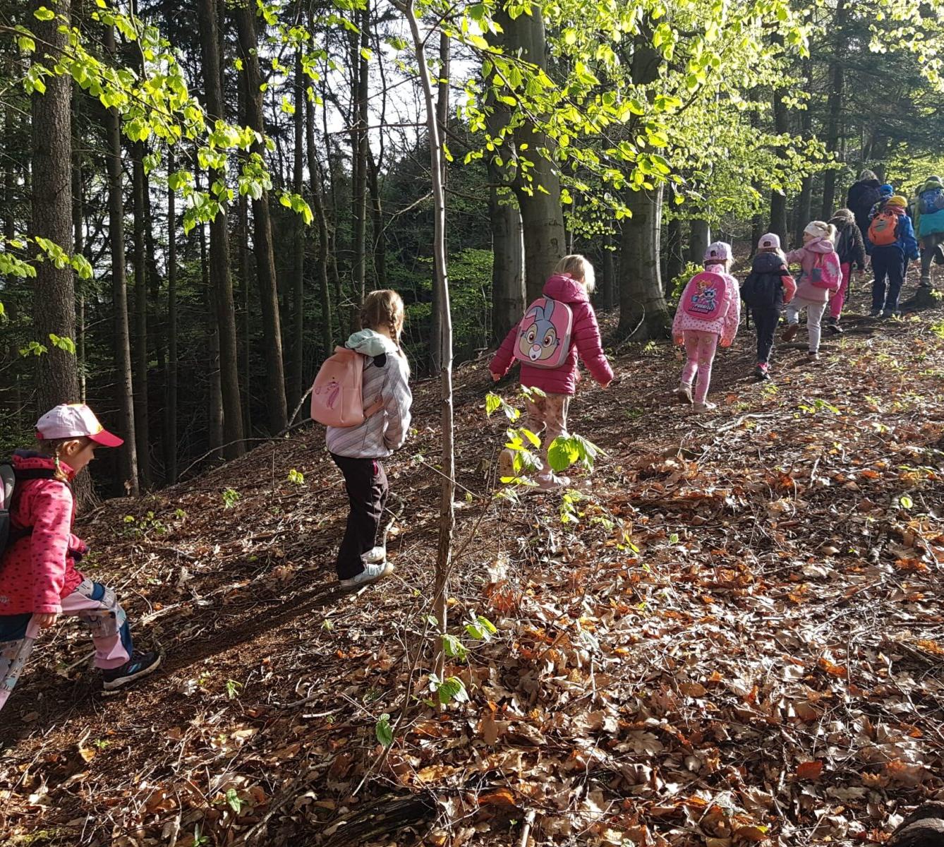 SOVIČKY: ,,VÝPRAVA DO ČESKÝCH LIBCHAV" - 31