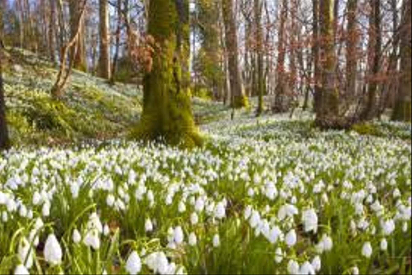 Vycházka do Údolí Sejfů