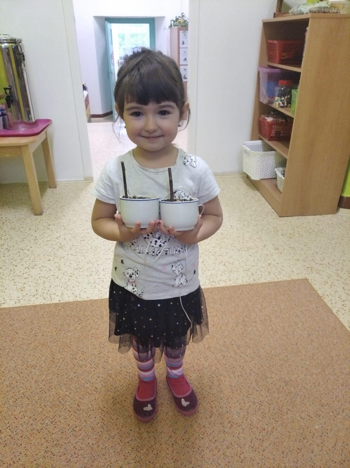 Krmítka pro ptáčky :-) - 62