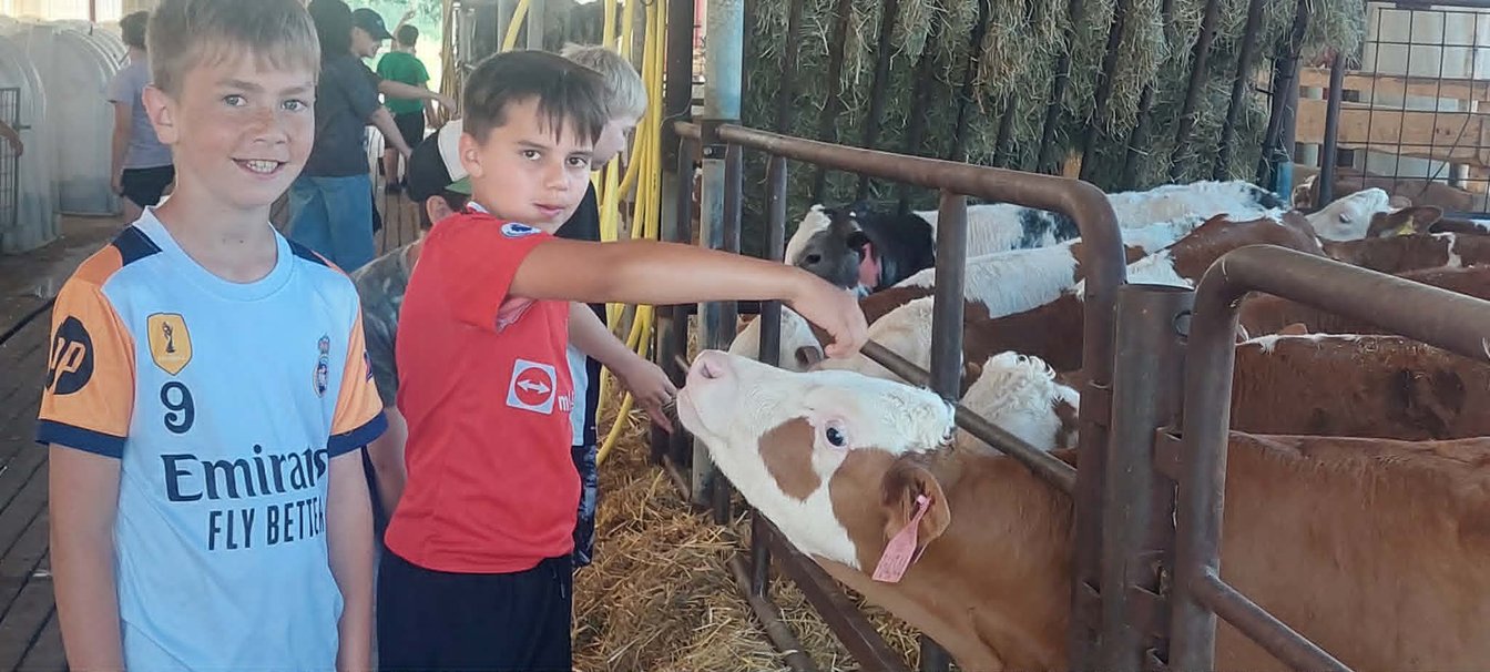 4.B na farmě ve Rvištích