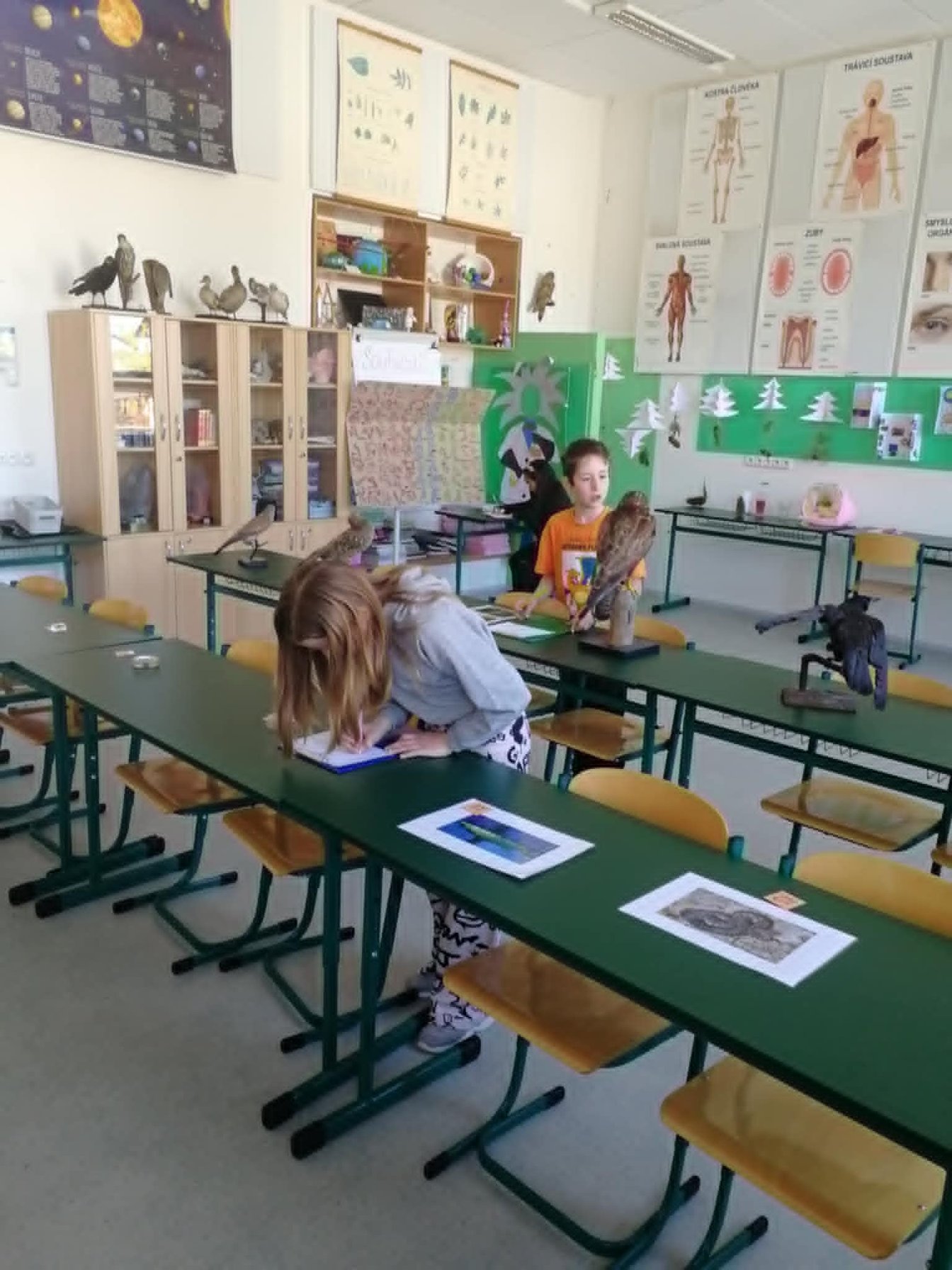 Žáci na soutěži v poznávání přírodnin