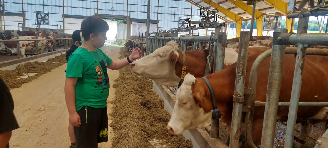 4.B na farmě ve Rvištích