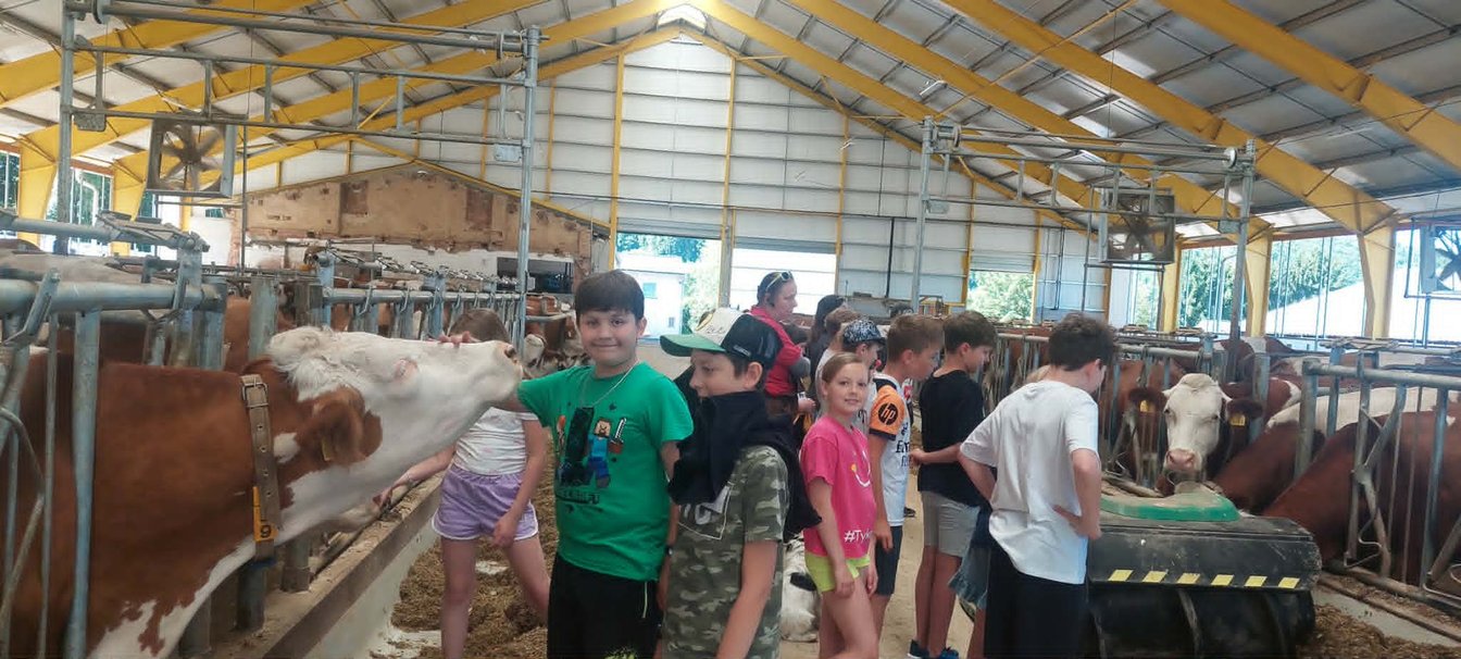 4.B na farmě ve Rvištích