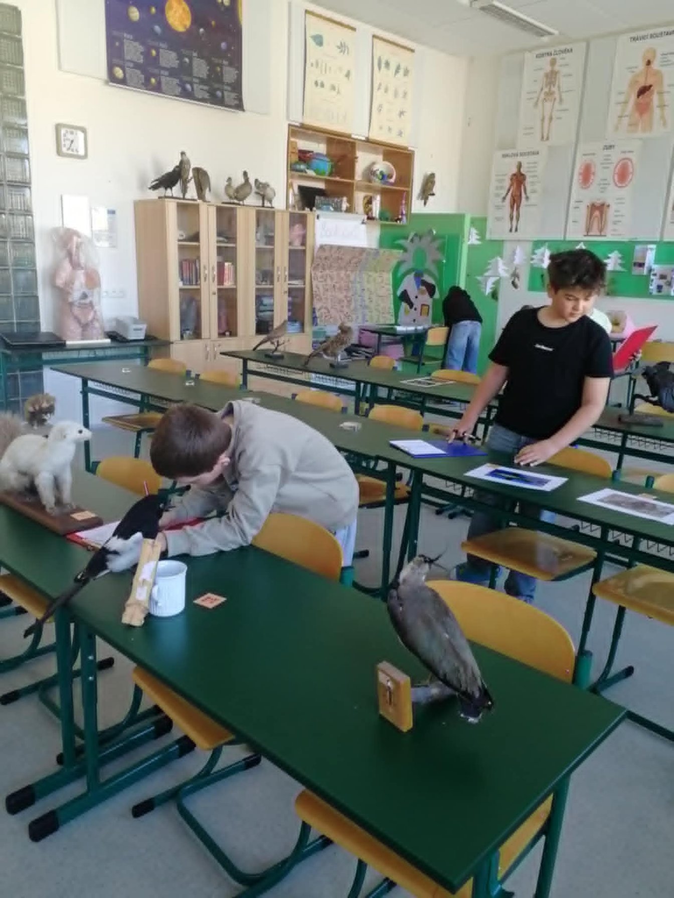 Žáci na soutěži v poznávání přírodnin