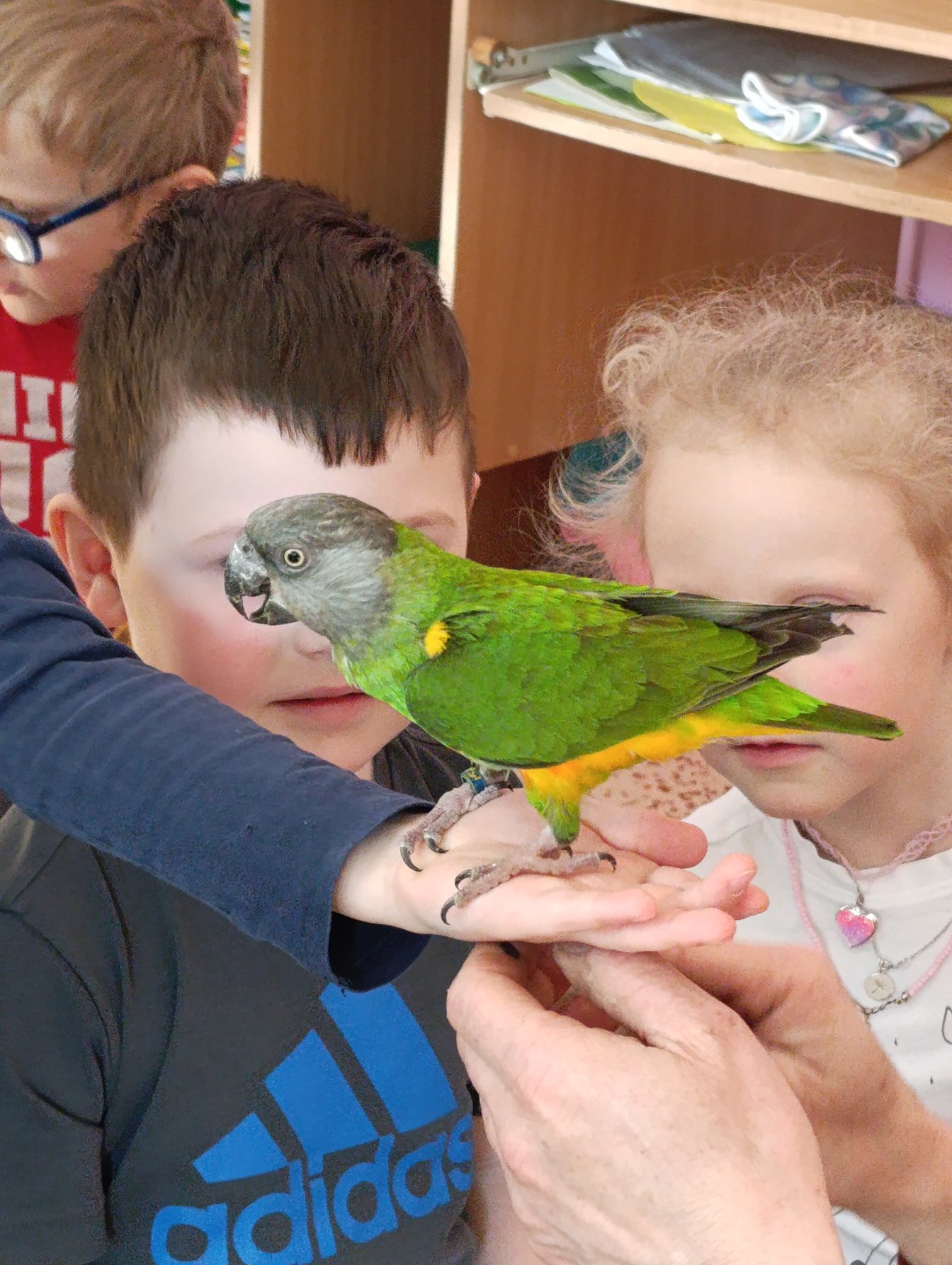 VZDĚLÁVACÍ PROGRAM - PTÁCI - 1