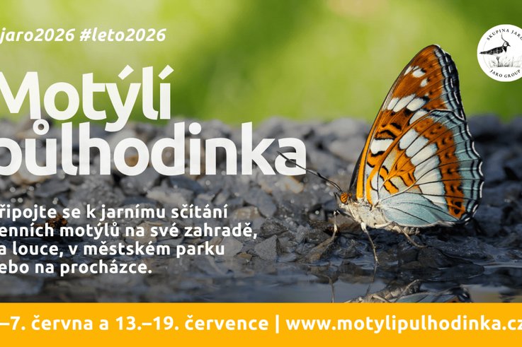 Motýlí půlhodinka