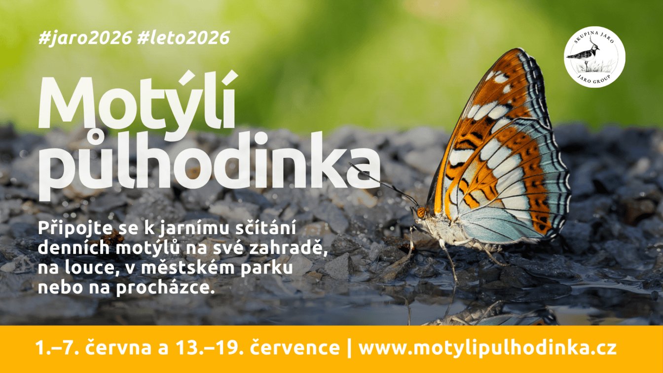 Motýlí půlhodinka - 1