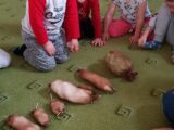 hry s jitrnicemi: počítání, řazení dle velikosti, menší x větší x největší