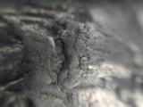 Meteorit